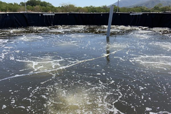 Sustainable shrimp aquaculture management techniques: Biofloc system technology (BTS)